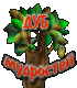 Дуб мудростей