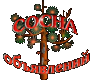 Сосна объявлений